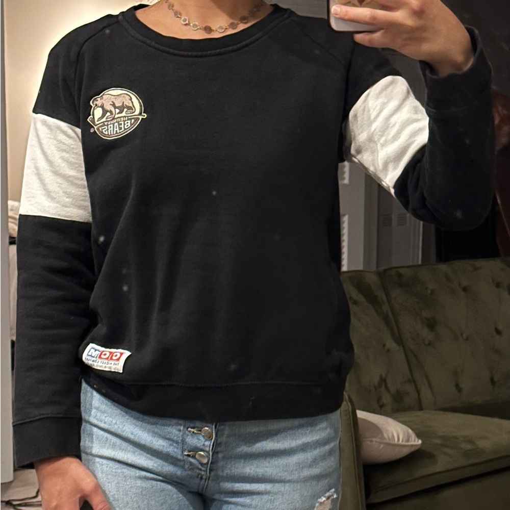 Hershey Bears sweater